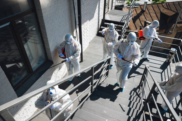Best Crawl Space Mold Remediation  in Linden, AZ