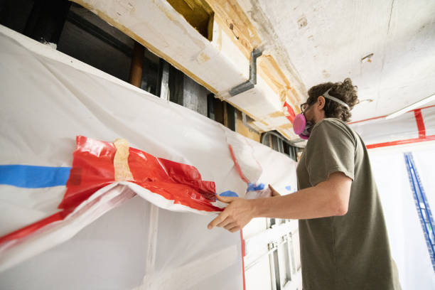 Asbestos and Lead Testing During Mold Inspection in Linden, AZ