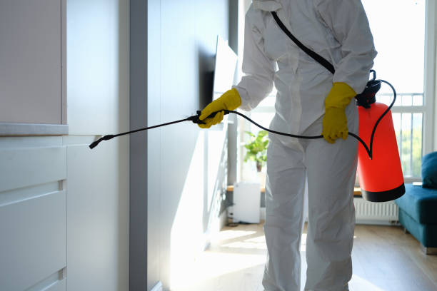 Best Asbestos and Lead Testing During Mold Inspection  in Linden, AZ