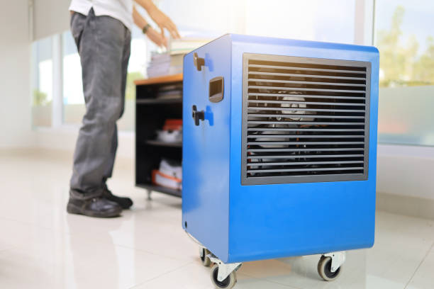 Best Mold Remediation for Healthcare Facilities  in Linden, AZ